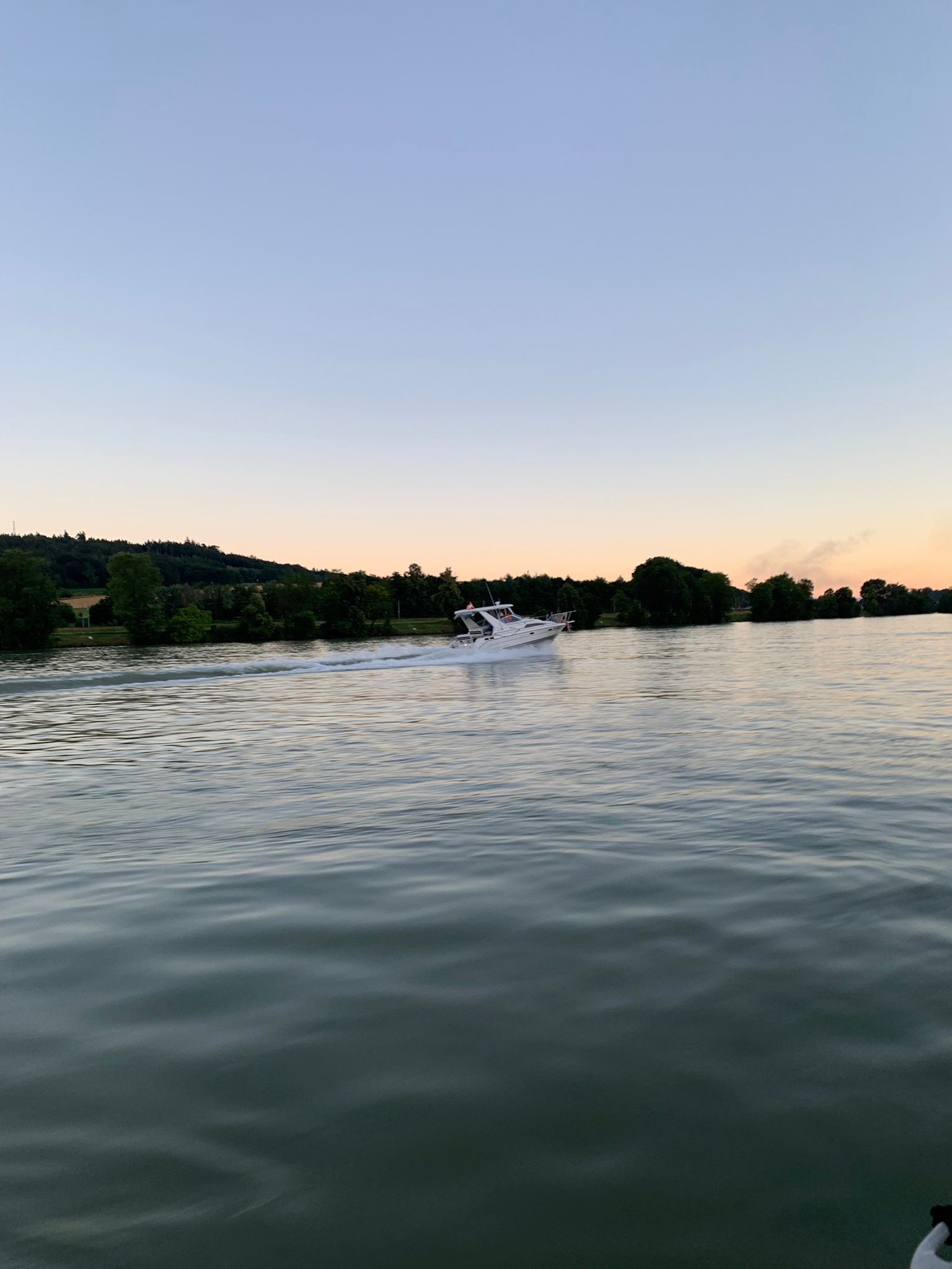 Boot auf der Donau